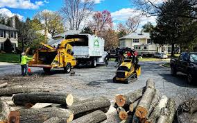 Best Emergency Tree Removal  in Twain Harte, CA